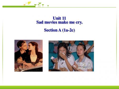 最新审定新人教版九年级初三英语英语Unit11Sad_movies_make_me_cry课件