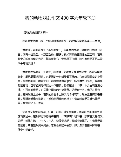 我的动物朋友作文400字六年级下册