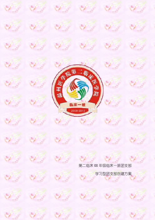 学习型团支部(终)