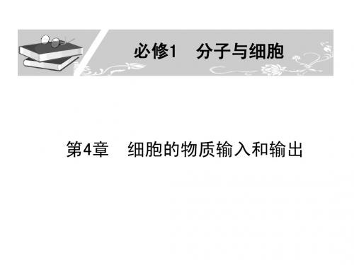 人教版教学课件2011届生物高考一轮复习课件:必修1 第4章 第1-2节 细胞的物质输入和输出ppt