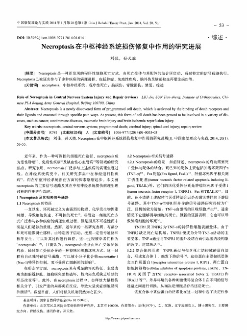 Necroptosis在中枢神经系统损伤修复中作用的研究进展