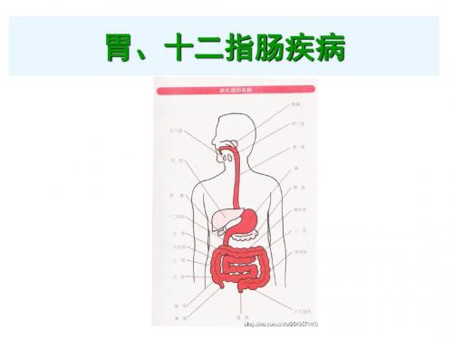 胃十二指肠疾病