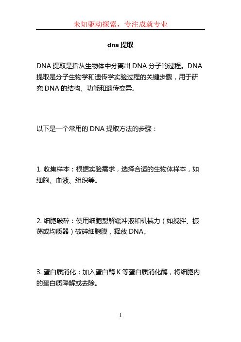 dna提取