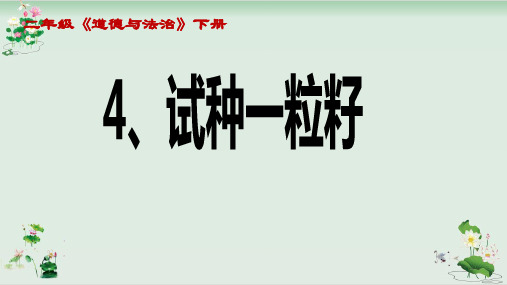 二年级下册道德与法治课件试种一粒籽人教新版10