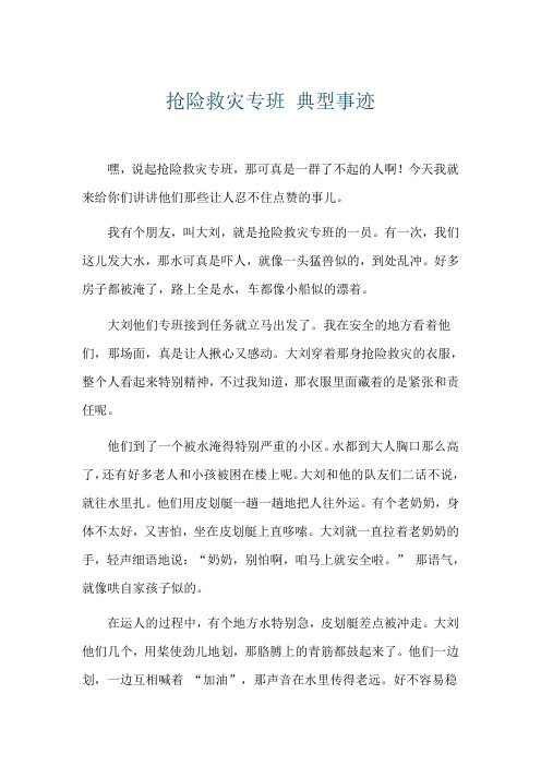 抢险救灾专班 典型事迹