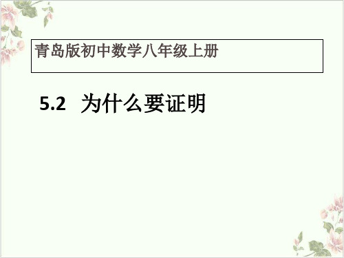 课件青岛版八年级上册数学《为什么要证明》优秀精美PPT课件