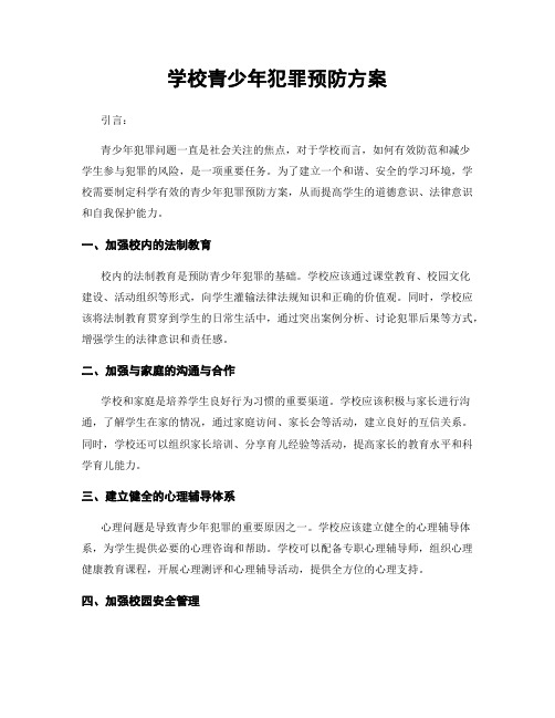 学校青少年犯罪预防方案