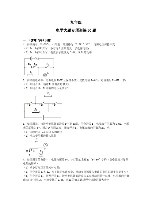 人教版九年级上学期物理电学大题专项训练30题