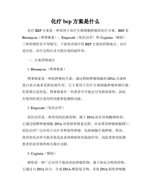 化疗bep方案是什么