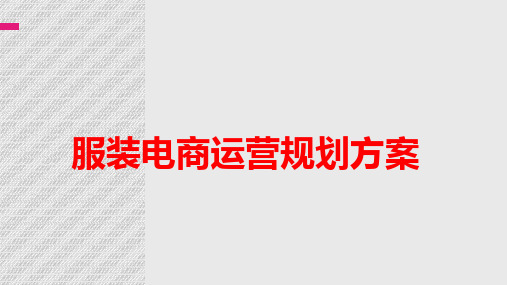 2016年服装电商运营规划方案ppt