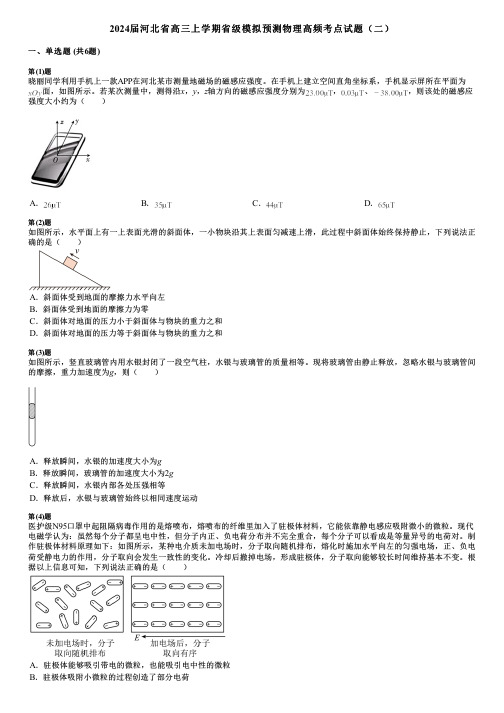 2024届河北省高三上学期省级模拟预测物理高频考点试题(二)