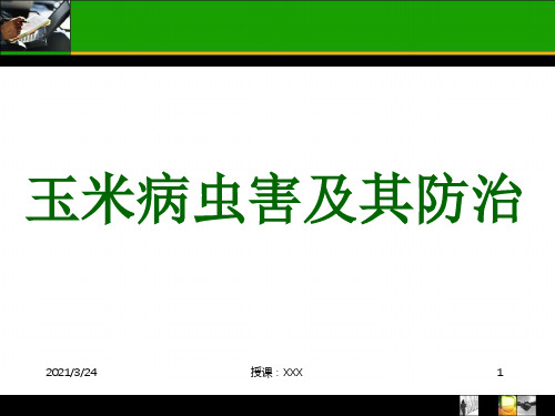 玉米常见病虫害及防治PPT课件