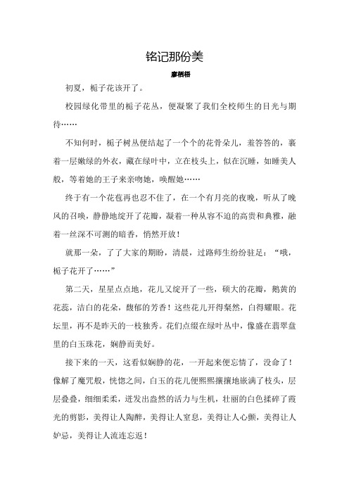 铭记那份美