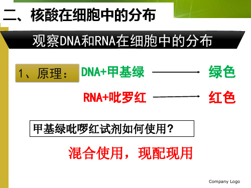 DNA和RNA在细胞中的分布实验