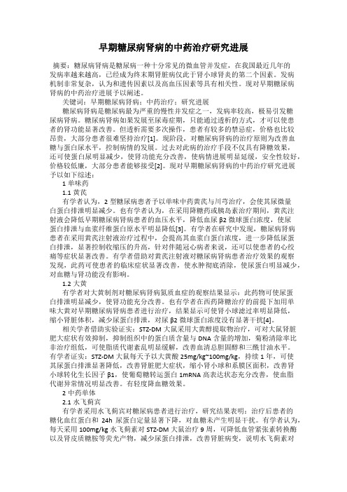 早期糖尿病肾病的中药治疗研究进展