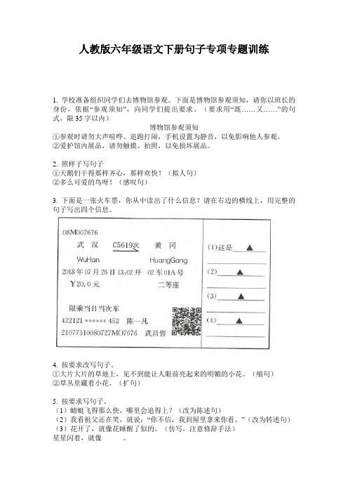 人教版六年级语文下册句子专项专题训练