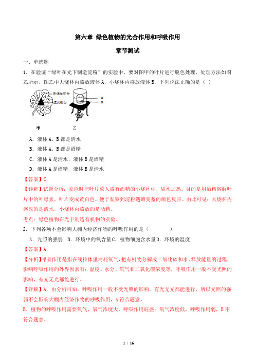 23-24学年七上生物《第六章 绿色植物的光合作用和呼吸作用》——章节检测(苏教版)(解析版)