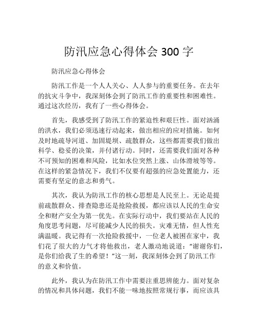 防汛应急心得体会300字