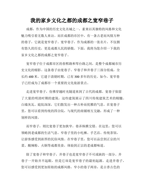 我的家乡文化之都的成都之宽窄巷子