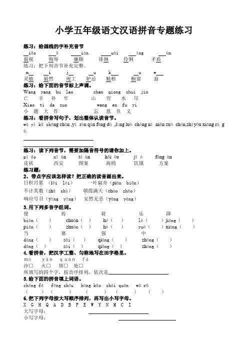 小学五年级语文汉语拼音专题练习