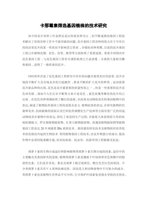 卡那霉素筛选基因植株的技术研究