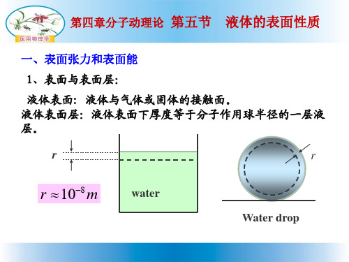 表面张力的完美解释