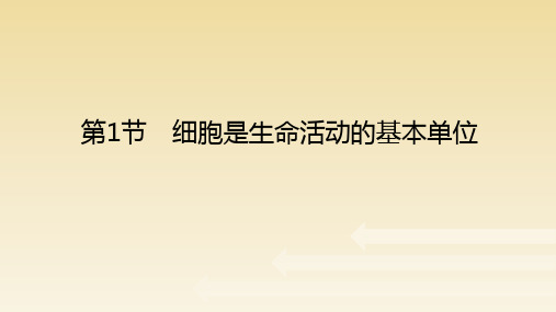 【课件】细胞是生命活动的基本单位课件2022-2023学年高一上学期生物人教版必修1