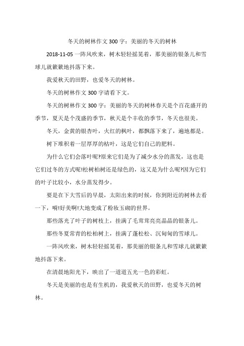 冬天的树林作文300字：美丽的冬天的树林