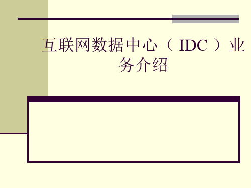 互联网数据中心(IDC)业务介绍精品PPT课件