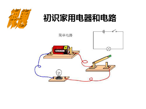 初中物理初识家用电器和电路