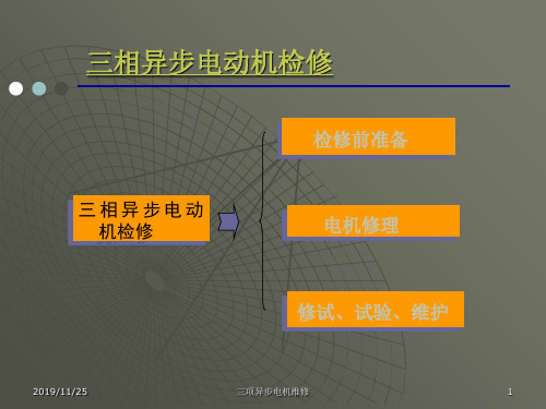 三相异步电动机检修ppt课件