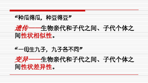 5.1基因突变和基因重组—人教版高中生物必修二课件(共27张PPT)