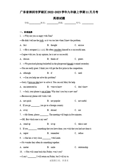 广东省深圳市罗湖区2022-2023学年九年级上学期11月月考英语试题
