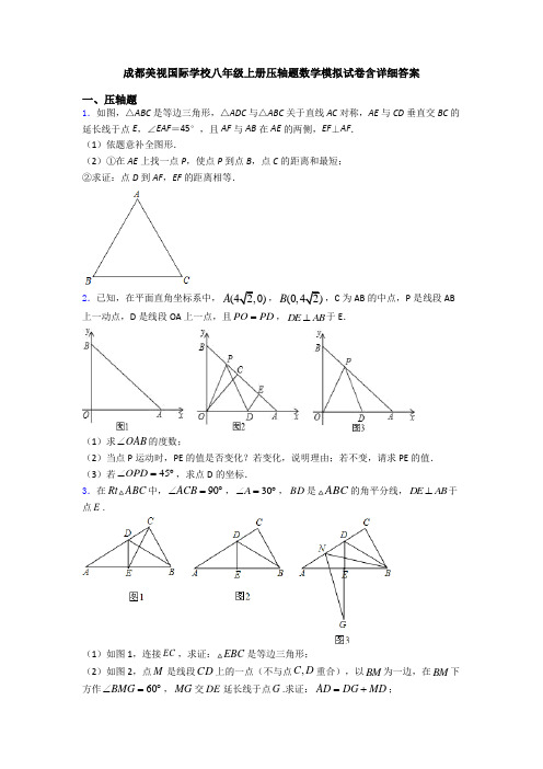 成都美视国际学校八年级上册压轴题数学模拟试卷含详细答案