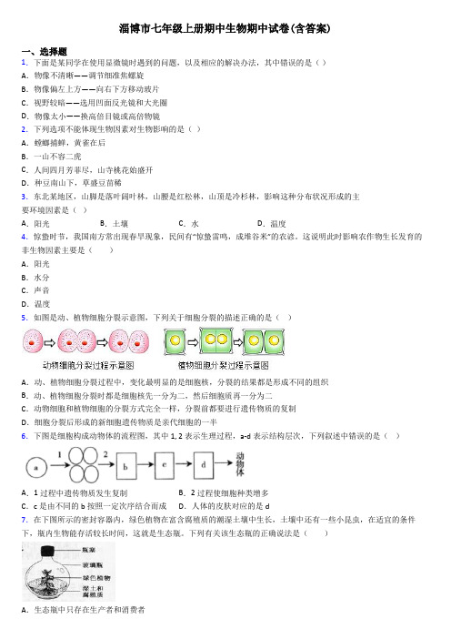 淄博市七年级上册期中生物期中试卷(含答案)