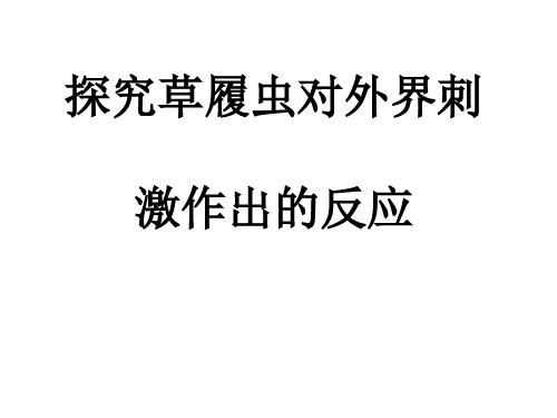 探究草履虫对外界刺激作出的反应