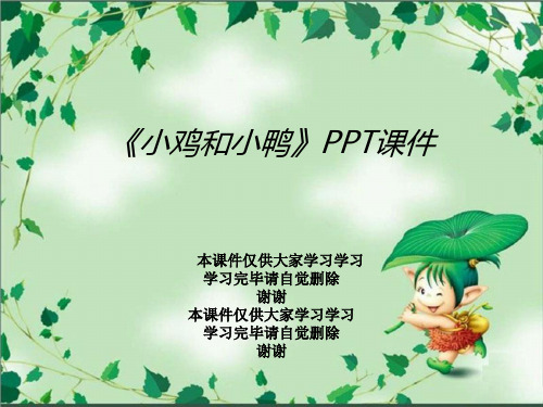 《小鸡和小鸭》PPT课件