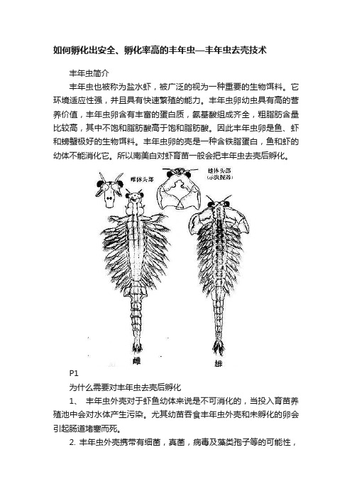 如何孵化出安全、孵化率高的丰年虫—丰年虫去壳技术