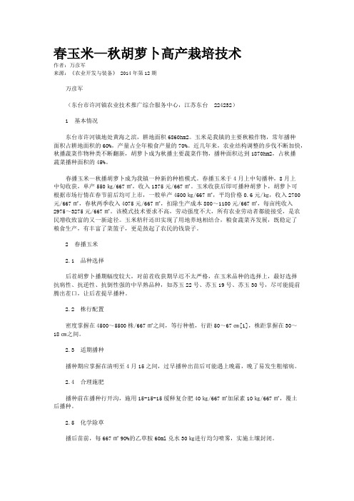 春玉米—秋胡萝卜高产栽培技术