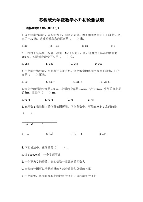 苏教版六年级数学小升初检测试题及参考答案(模拟题)