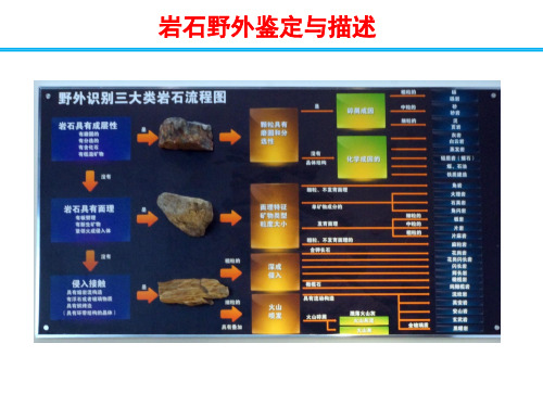 岩石野外鉴定与描述