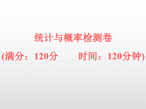 浙江中考数学课件PPT 统计与概率检测卷