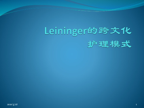 Leininger跨文化护理理论PPT课件