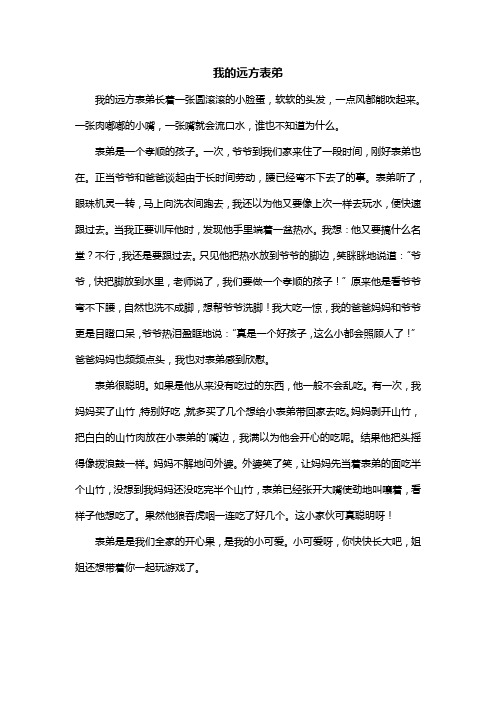 我的远方表弟作文600字