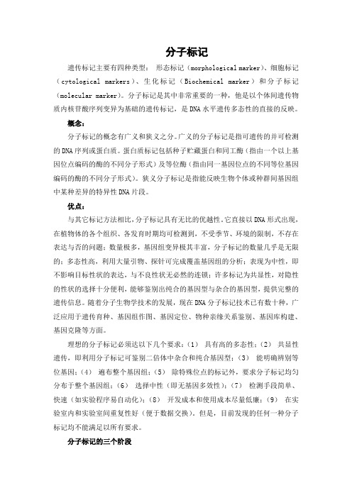 分子标记