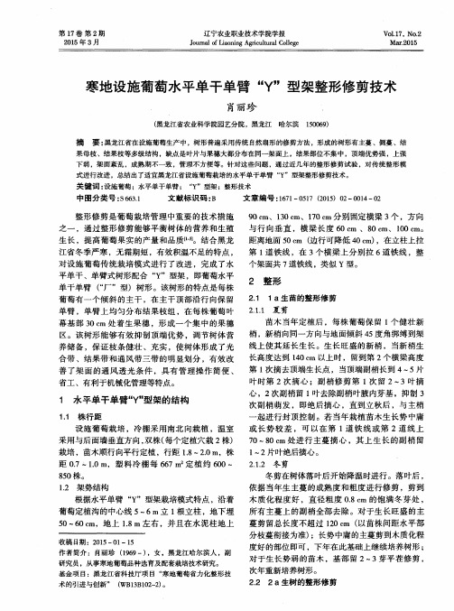 寒地设施葡萄水平单干单臂“Y”型架整形修剪技术