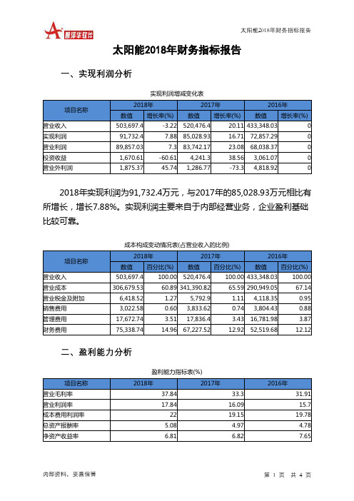 太阳能2018年财务指标报告-智泽华