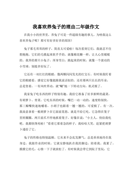 我喜欢养兔子的理由二年级作文