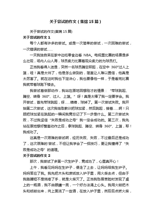 关于尝试的作文（集锦15篇）