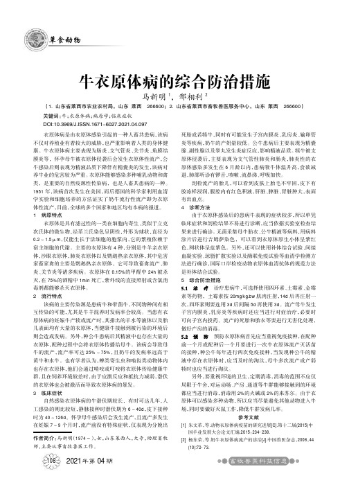 牛衣原体病的综合防治措施